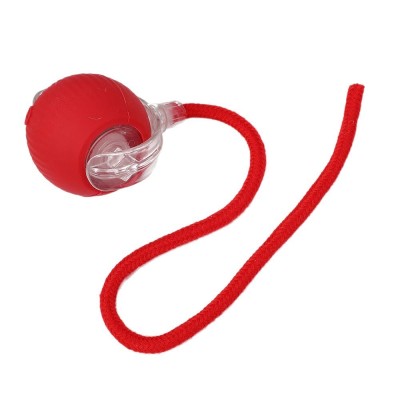 Interactive Rolling Ball Toy
