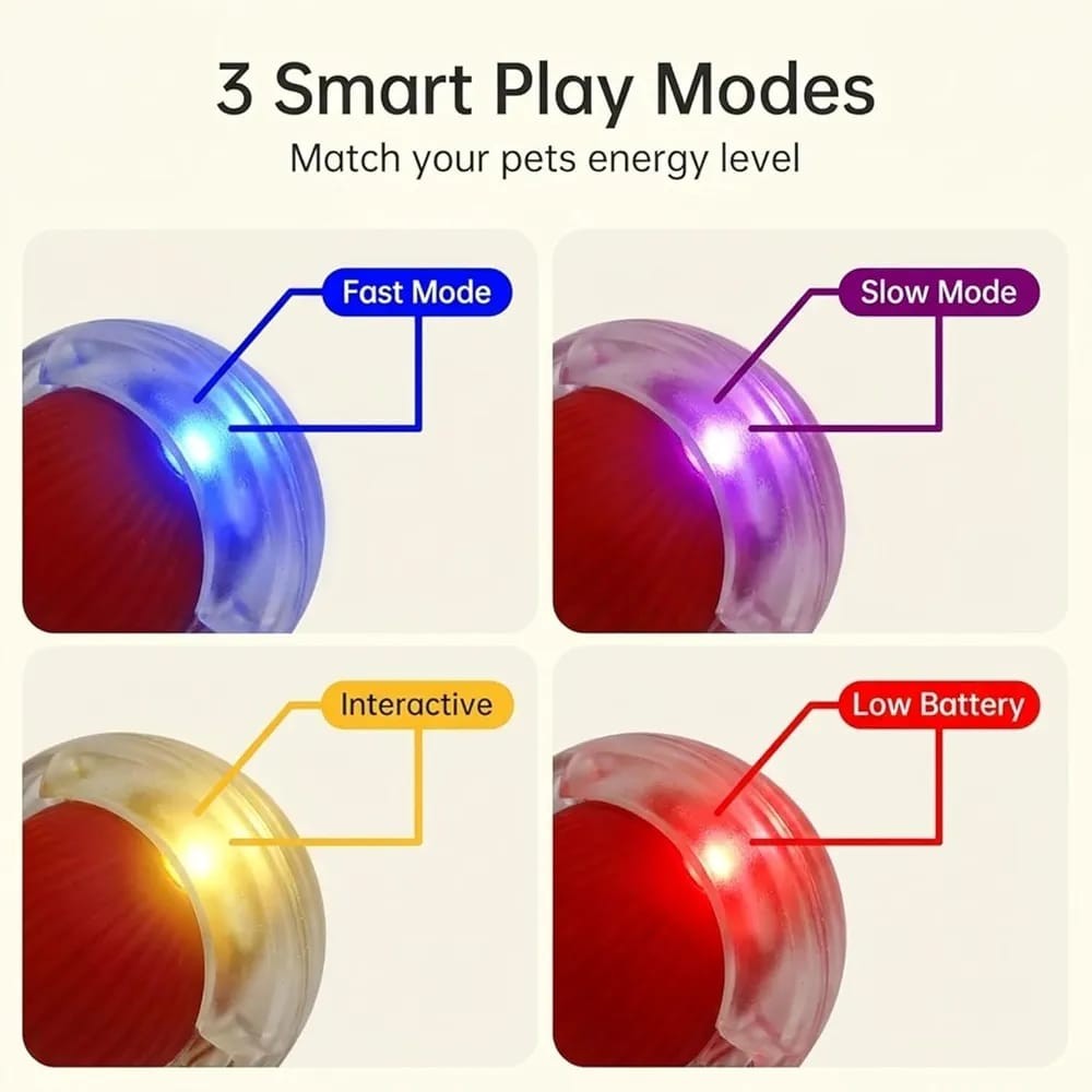 Interactive Rolling Ball Toy