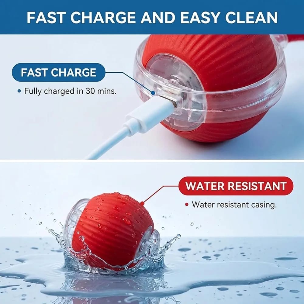 Interactive Rolling Ball Toy